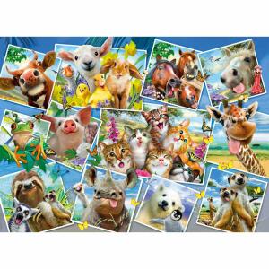 Wooden City Animal Postcards L