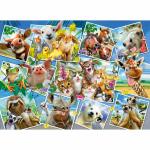 Wooden City Animal Postcards L