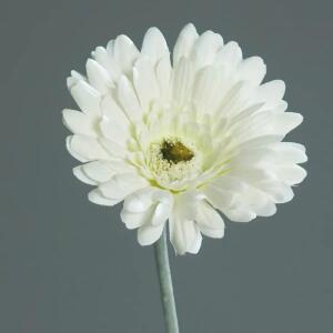 Kunstblume Gerbera cream 56cm