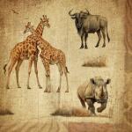 ti-flair Servietten African Savanna 33x33cm 20 Stück
