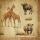 ti-flair Servietten African Savanna 33x33cm 20 Stück