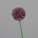 Kunstblume Allium lila 65cm