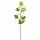 Kunstblume Viburnum hellgrün 71,5cm