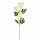 Kunstblume Peonie creme 67cm