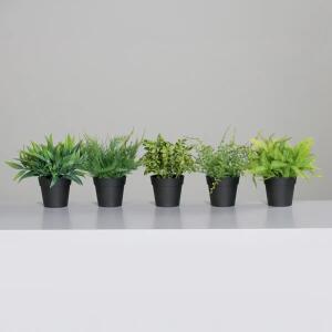 Kunstblume Farn im Topf 24cm 5fach sortiert