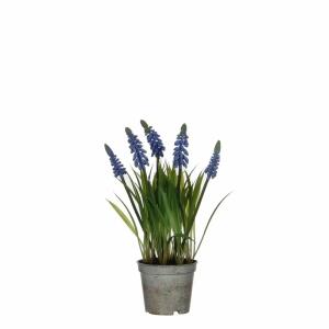 Kunstblume Traubenhyazinthe im Topf blau 27x8,5cm