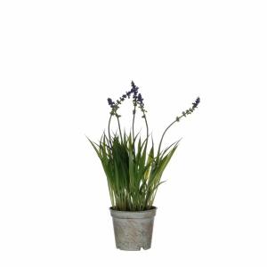 Kunstblume Lavendel im Topf violett 30x8,5cm