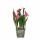 Kunstblume Schachblume im Topf rosa 23x8,5cm