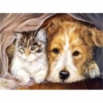 PRACHT Diamond Painting Tierisches Selfie 40x30cm
