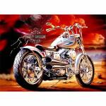 PRACHT Diamond Painting Motorrad 40x30cm