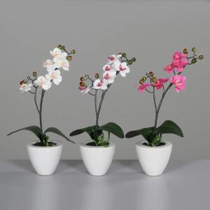 Kunstblume Orchidee im weißen Keramiktopf 36cm 3fach sortiert