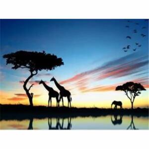 PRACHT Diamond Painting Afrika 50x40cm