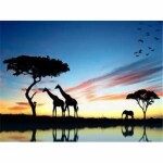 PRACHT Diamond Painting Afrika 50x40cm