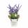 Kunstblume Lavendel Im Eimer blau 30x15cm