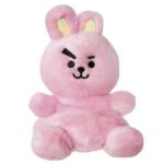 BT21 Cooky Palm Pal 13 cm