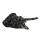 Eco Nation Stingray 30 cm