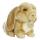 Miyoni Lop Eared Rabbit 20 cm