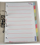 Rheita Papierregister 10-teilig,  A4, 10-farbig,...