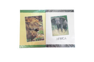 Rheita Briefpapier "Afrika", 90g/m², je 10 Bögen + Umschläge, verschiedene Motive
