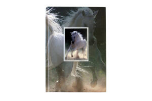 Rheita Notizbuch mit Wechselbild "Pferd", A5, kariert, 96 Blatt, 70g/m²