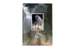 Rheita Notizbuch mit Wechselbild "Pferd", A5,...