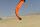 Elliot Drachen Spiderkites Amigo 1.35 135 x 55 orange rtf