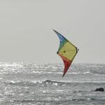Elliot Drachen Buddy 123 x 55 cm rainbow rtf