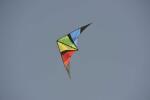 Elliot Drachen Wingman 150 x 63 cm rainbow rtf