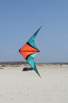 Elliot Drachen Wingman 150 x 63 cm türkis/orange rtf