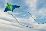 Elliot Drachen Concord Delta 223 x 150 cm blau rtf