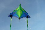 Elliot Drachen Concord Delta 223 x 150 cm blau rtf
