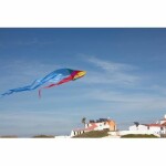 Elliot Drachen Flux Delta 200 x 600 cm rainbow rtf