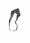 Elliot Drachen Pyro Delta 180 x 690 cm Black rtf