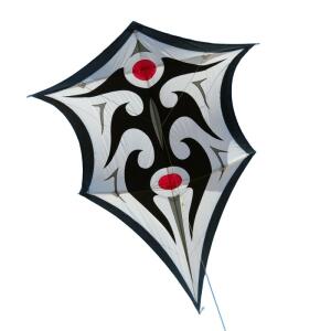 Elliot Drachen Domanns Sky Shield 97 x 132 rtf