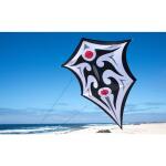 Elliot Drachen Domanns Sky Shield 97 x 132 rtf