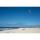 Elliot Drachen Domanns Sky Shield 97 x 132 rtf