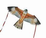 Elliot Drachen Milan 150 x 75 cm rtf