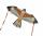 Elliot Drachen Milan 150 x 75 cm rtf