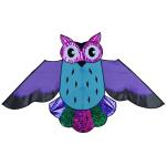 Elliot Drachen Premier Holographic Owl Purple 144 x 84