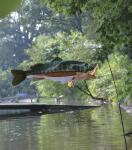 Elliot Windspiel Windsack Barsch 77 cm x 30 cm