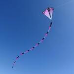 Elliot Drachen Prism Schlauchschwanz 20 Ultraviolet