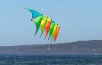 Elliot Drachen Prism Neutrino Mimosa 100 x 55 orange/yellow