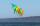 Elliot Drachen Prism Neutrino Citron 100 x 55 yellow/green