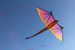 Elliot Drachen WindNSun 3D Drache Giant Polyestertuch Druck