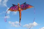 Elliot Drachen WindNSun 3D Drache Giant Polyestertuch Druck