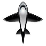 Elliot Drachen X-Kites RareAir Shark