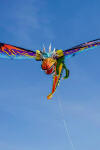 Elliot Drachen WindNSun 3D Drache Fire Polyestertuch Druck