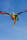 Elliot Drachen WindNSun 3D Drache Fire Polyestertuch Druck
