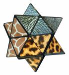 Elliot StarCube - Stern-Zauberwürfel Wildlife