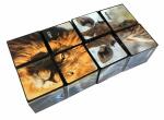 Elliot StarCube - Stern-Zauberwürfel Wildlife